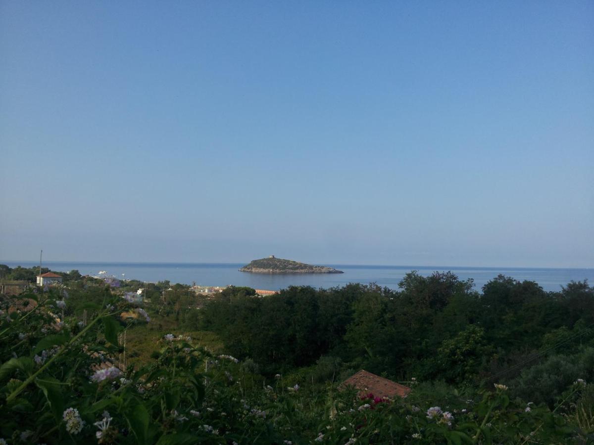 Hotel Villa Cerelis Диаманте Экстерьер фото